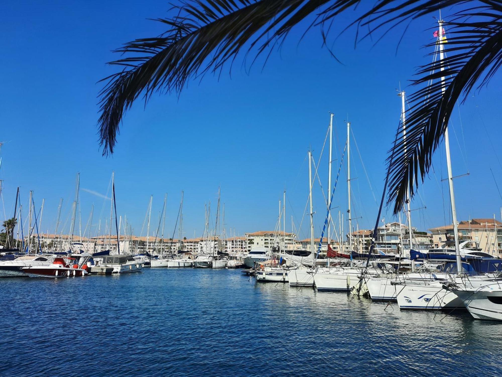דירות Fréjus Coeur Marina Climatise Terrasse Parking מראה חיצוני תמונה